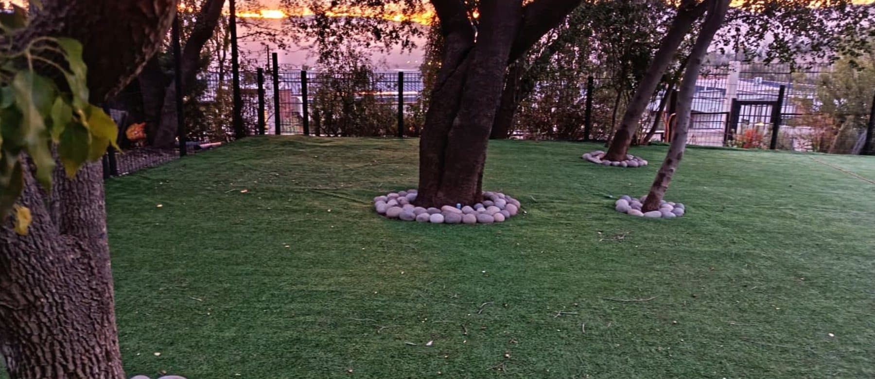 Bosque de juego con pasto y árboles
